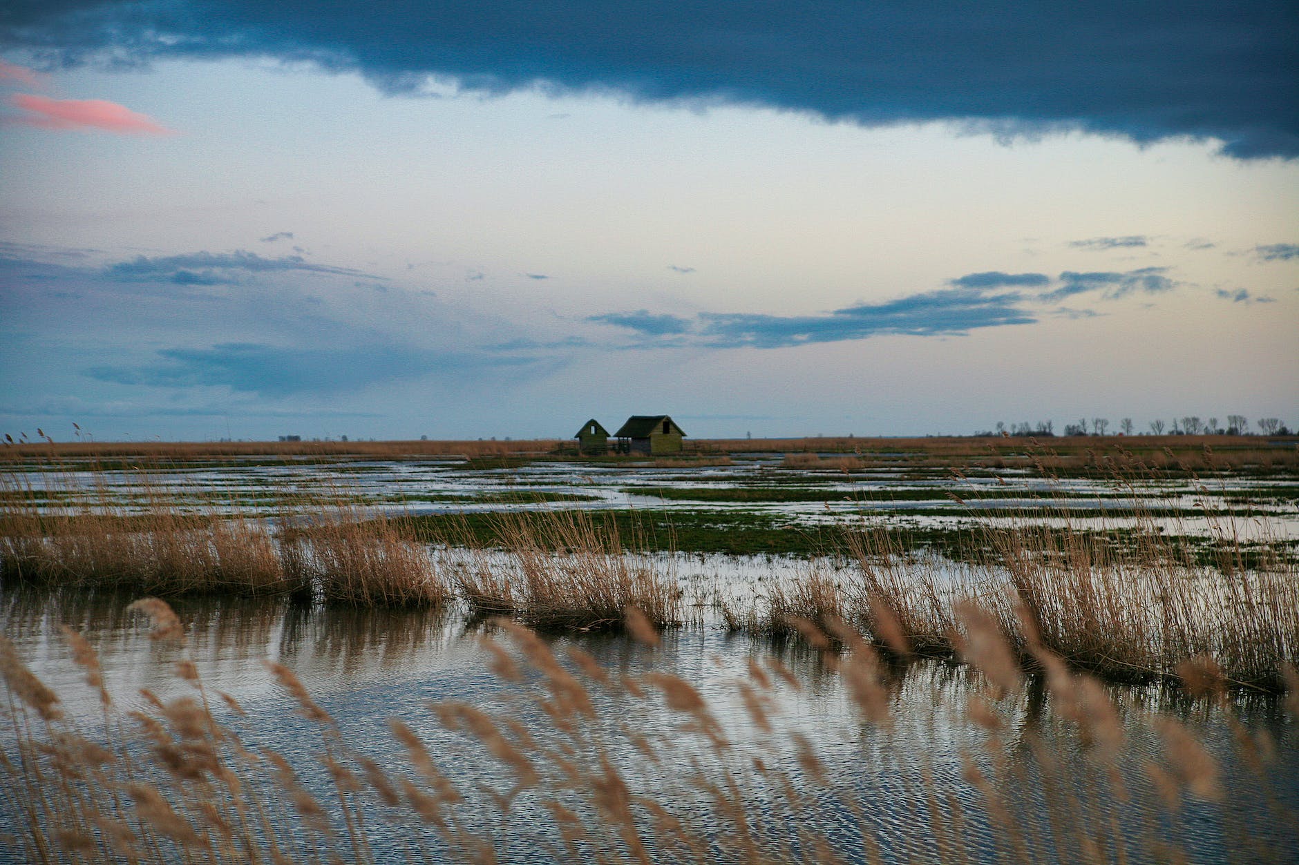Sizing up marshes for flood prevention