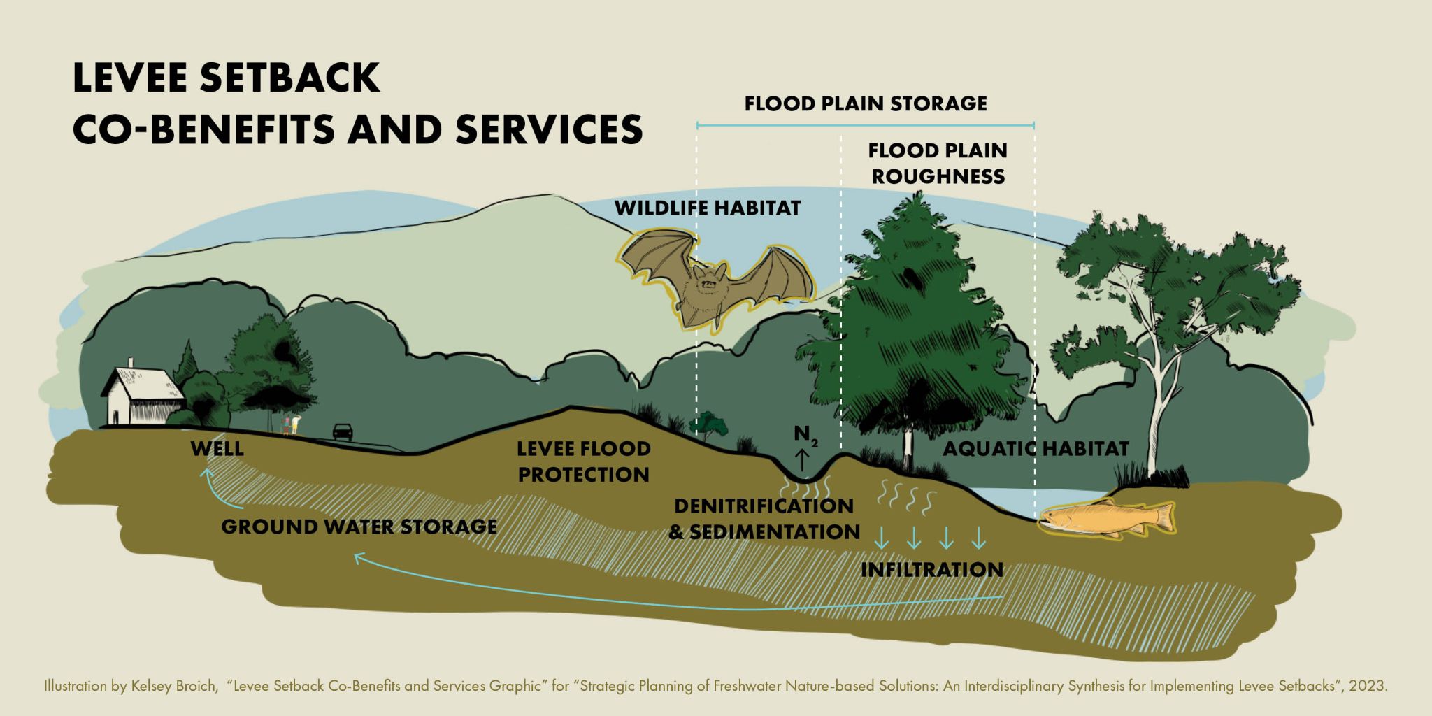 Levee setbacks have a lot of potential co-benefits. How can we maximize ...