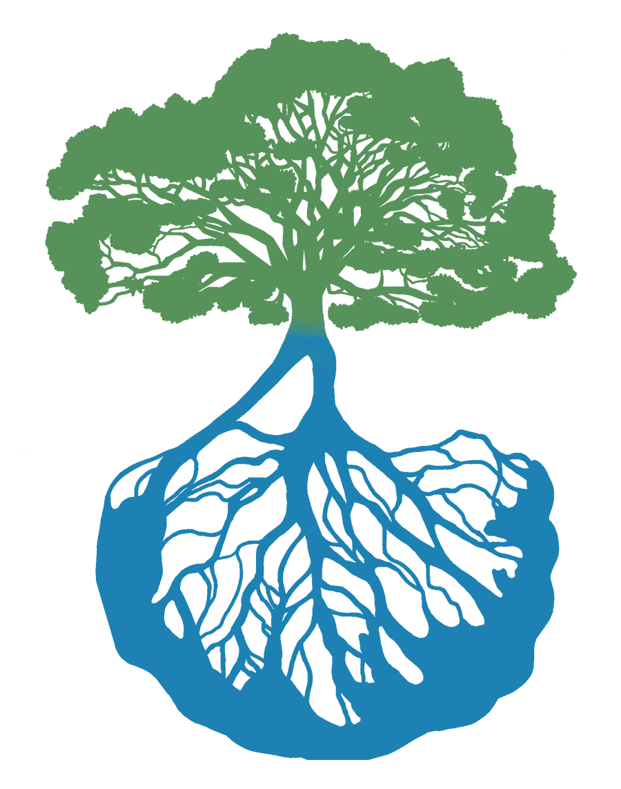 NETWORK FOR ENGINEERING WITH NATURE